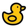 Chinese Duck