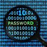 Password Audit Bot